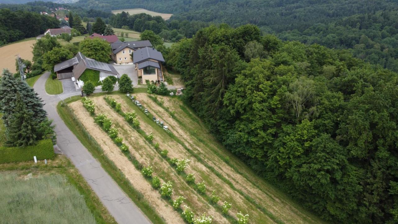 Ferienwohnung Beim Bergjosl Kirchbach in Steiermark Exterior foto