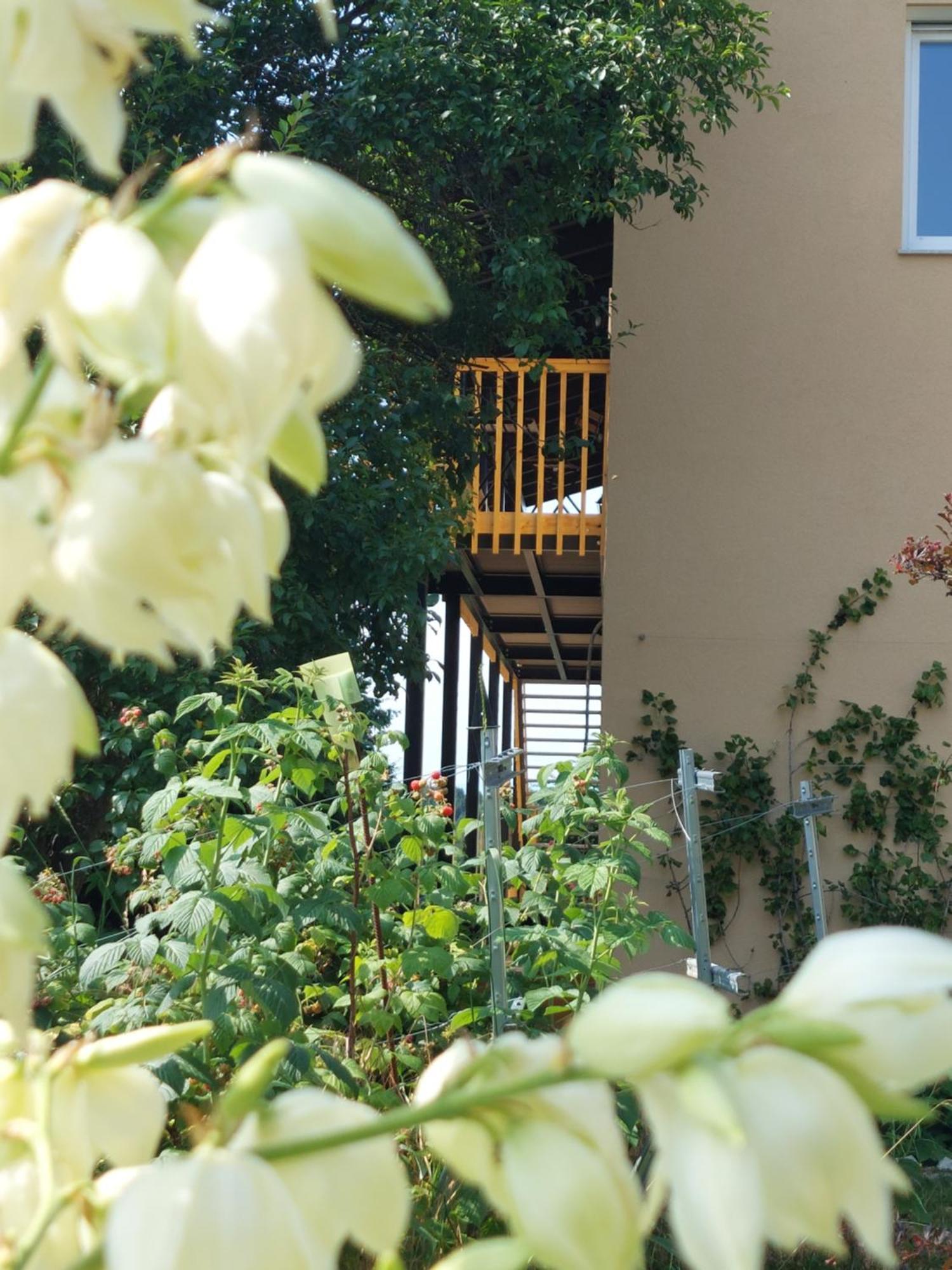 Ferienwohnung Beim Bergjosl Kirchbach in Steiermark Exterior foto